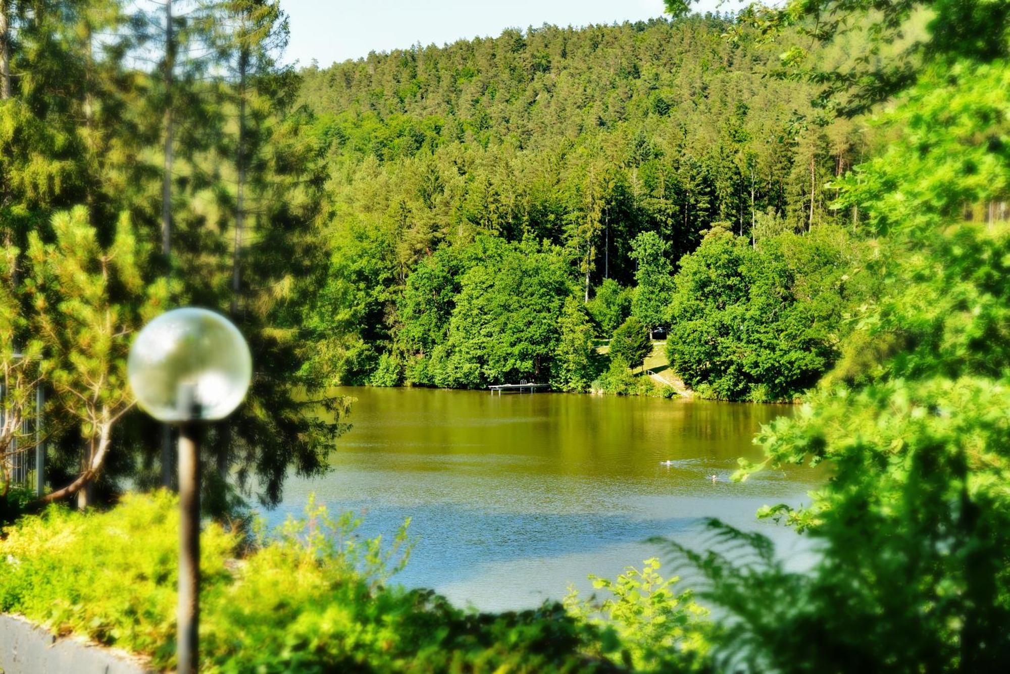 Das Dreiburgensee Naturhotel & Spa Thurmansbang 外观 照片
